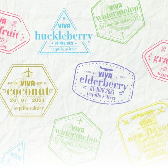 Coconut Sundays Viva Instagram Design Work Sample Passport